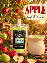 Load image into Gallery viewer, 600-reSCENTit SQUEEZE SCENTS 6oz POUCH