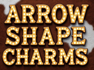 ARROW SHAPES reSCENTit CAR CHARMS