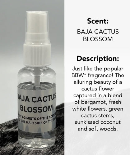 100-BAJA CACTUS BLOSSOM OIL