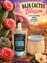 Load image into Gallery viewer, 600-reSCENTit SQUEEZE SCENTS 6oz POUCH
