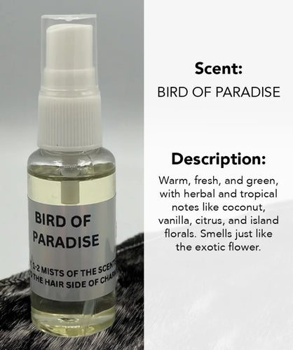100-BIRD OF PARADISE OIL