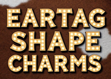Load image into Gallery viewer, EAR TAG SHAPES reSCENTit CAR CHARMS