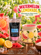 Load image into Gallery viewer, 600-reSCENTit SQUEEZE SCENTS 6oz POUCH